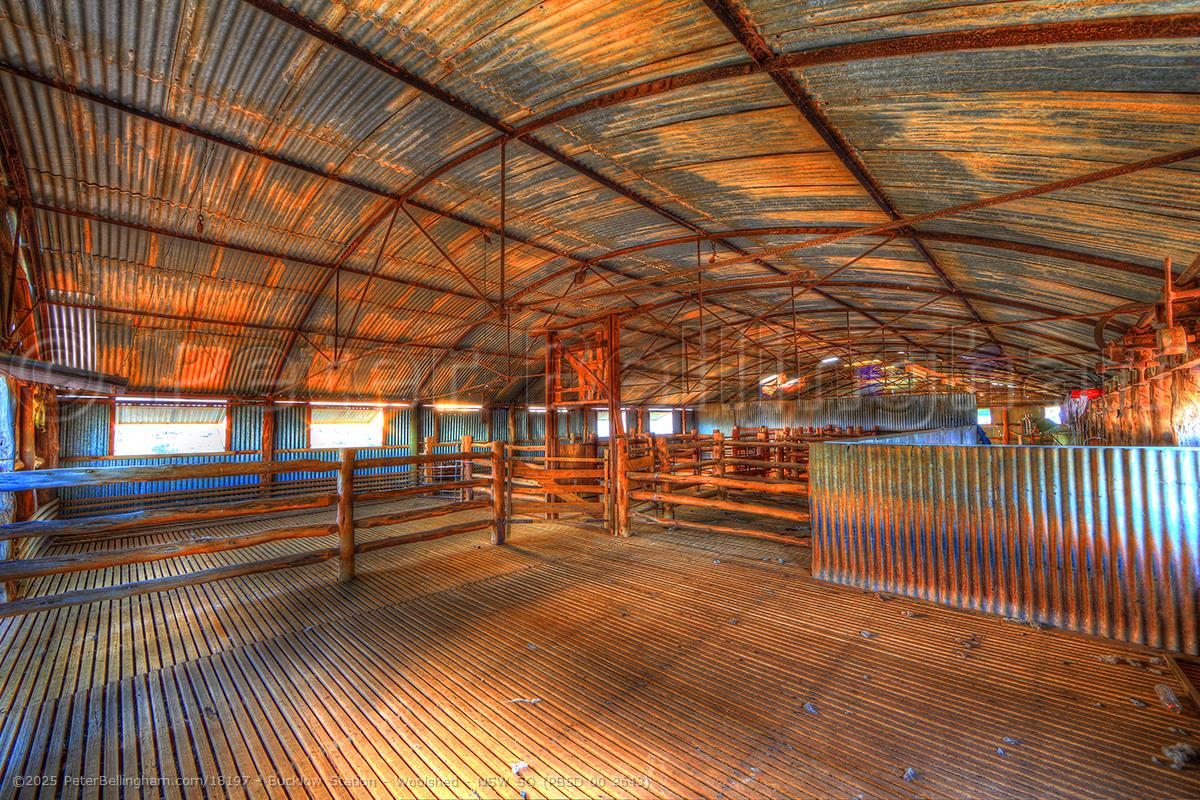 Peter Bellingham Photography Bucklow Station - Woolshed - NSW SQ (PB5D 00 2643)
